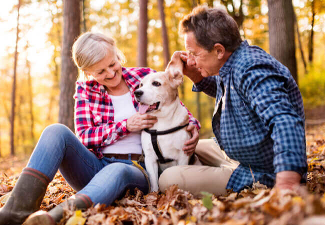 Patient + PT = A Strategy for Success