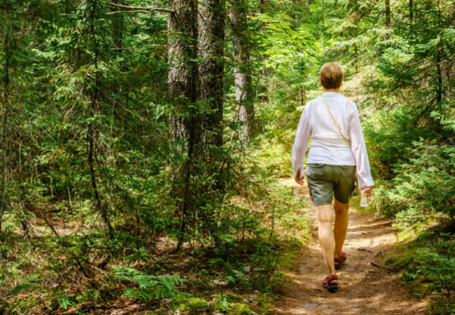 OUR COMPENSATING BODIES