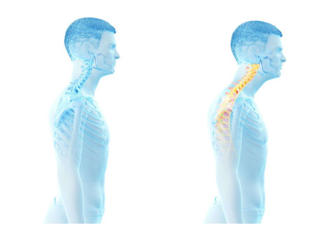 How heavy is your head?